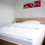 Hotel Oasis 3*