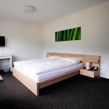 酒店 绿洲酒店 3*