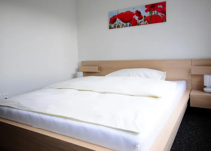Hotel Oasis 3*